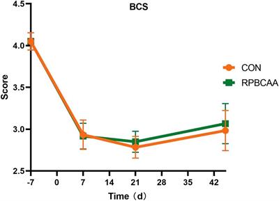 Metabolomic analysis of rumen-protected branched-chain amino acids in primiparous dairy cows